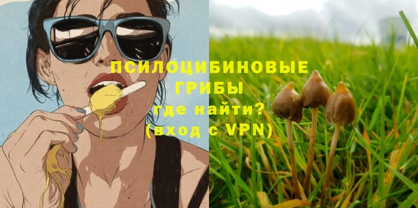 Альфа ПВП Остров