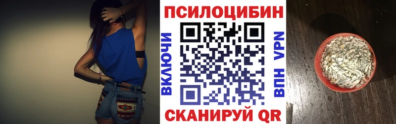 Псилоцибиновые грибы Psilocybe  Андреаполь 